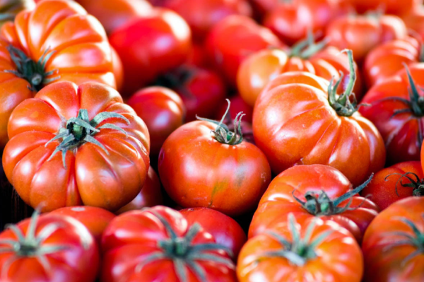 Come Conservare Al Meglio I Pomodori